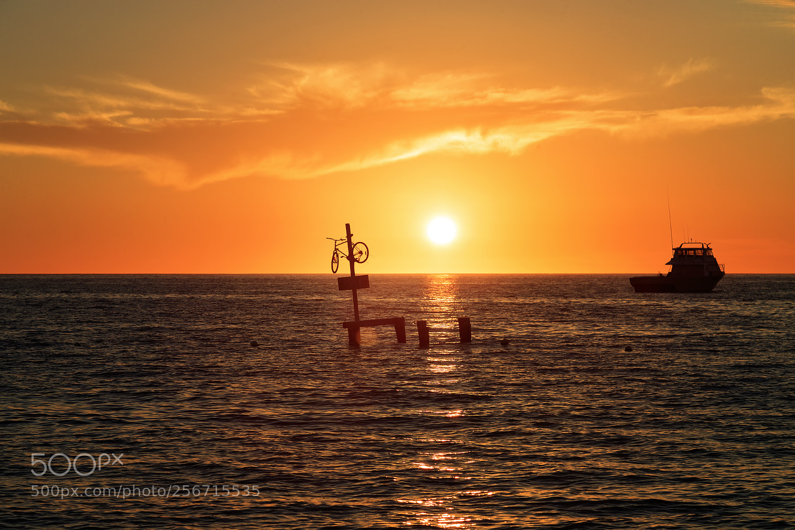 Canon EOS-1D X Mark II sample photo. Ocean ride... photography