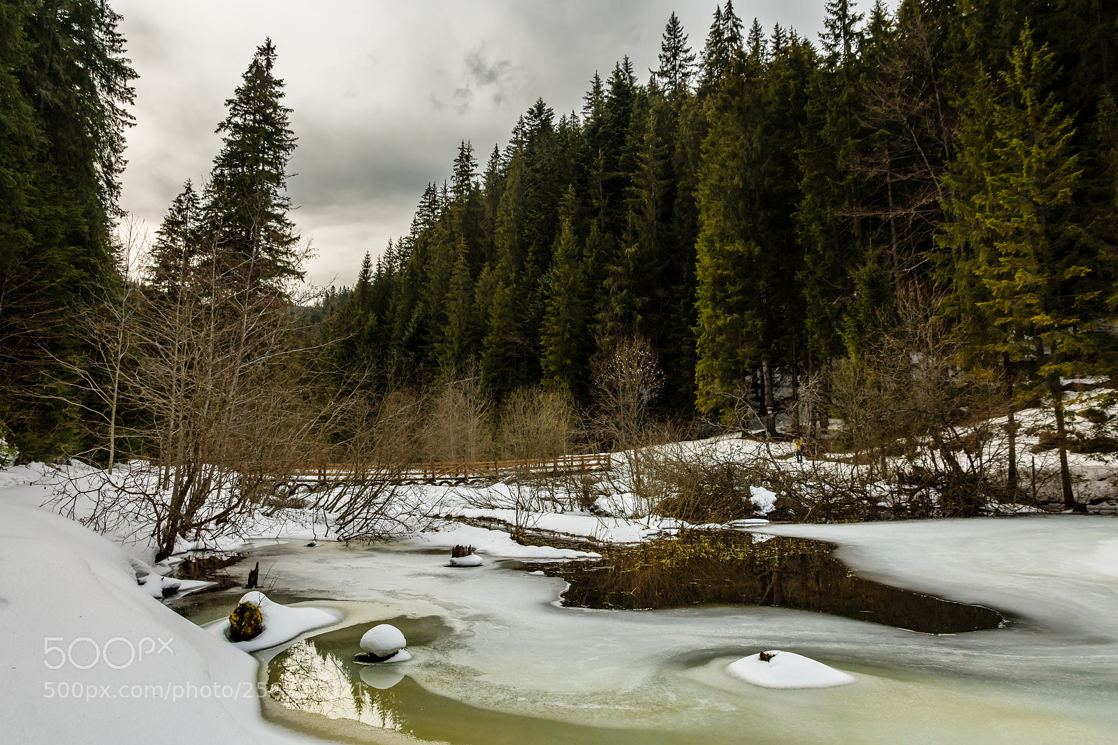 Nikon D7200 sample photo. Winter scene photography