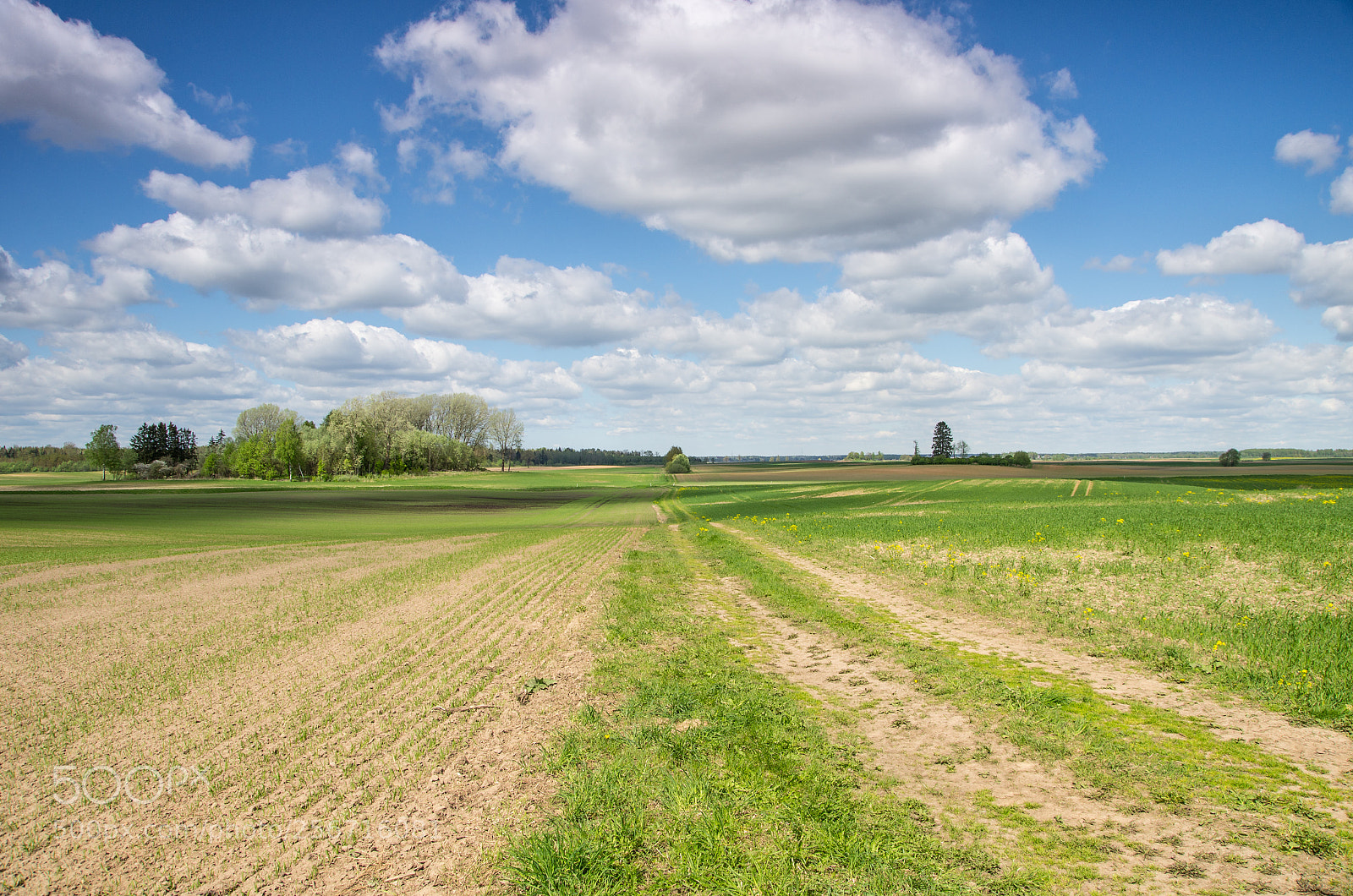 Pentax K-5 sample photo. Spring field photography