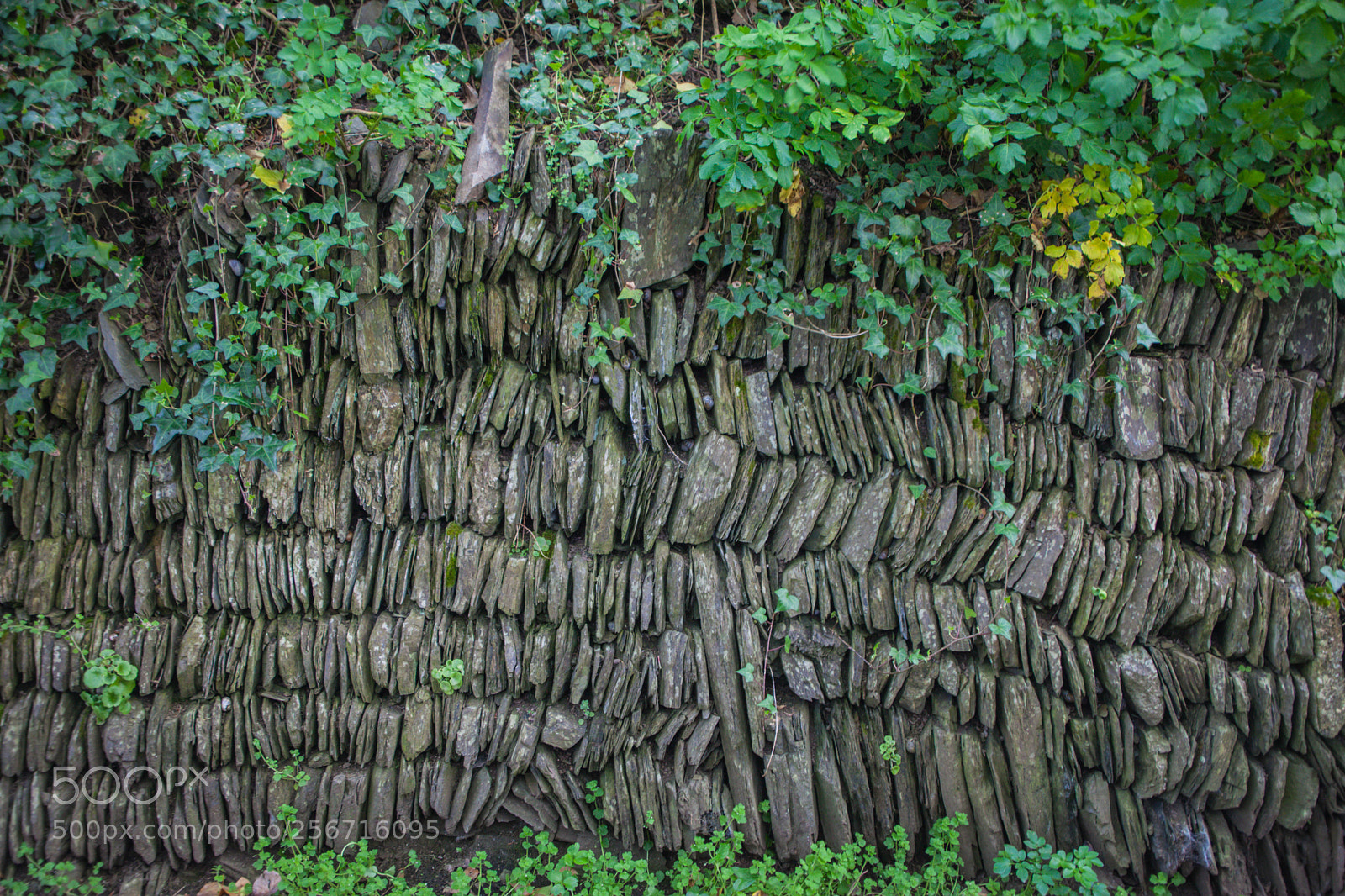 Canon EOS 5D Mark II sample photo. Drystone walling.jpg photography