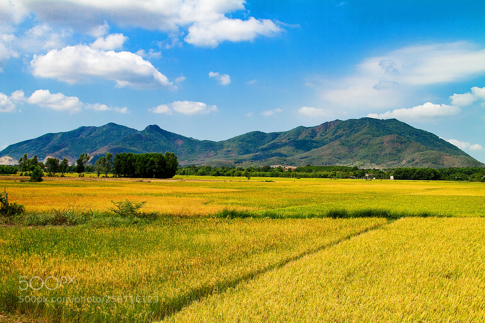 Canon EOS 7D sample photo. Img photography