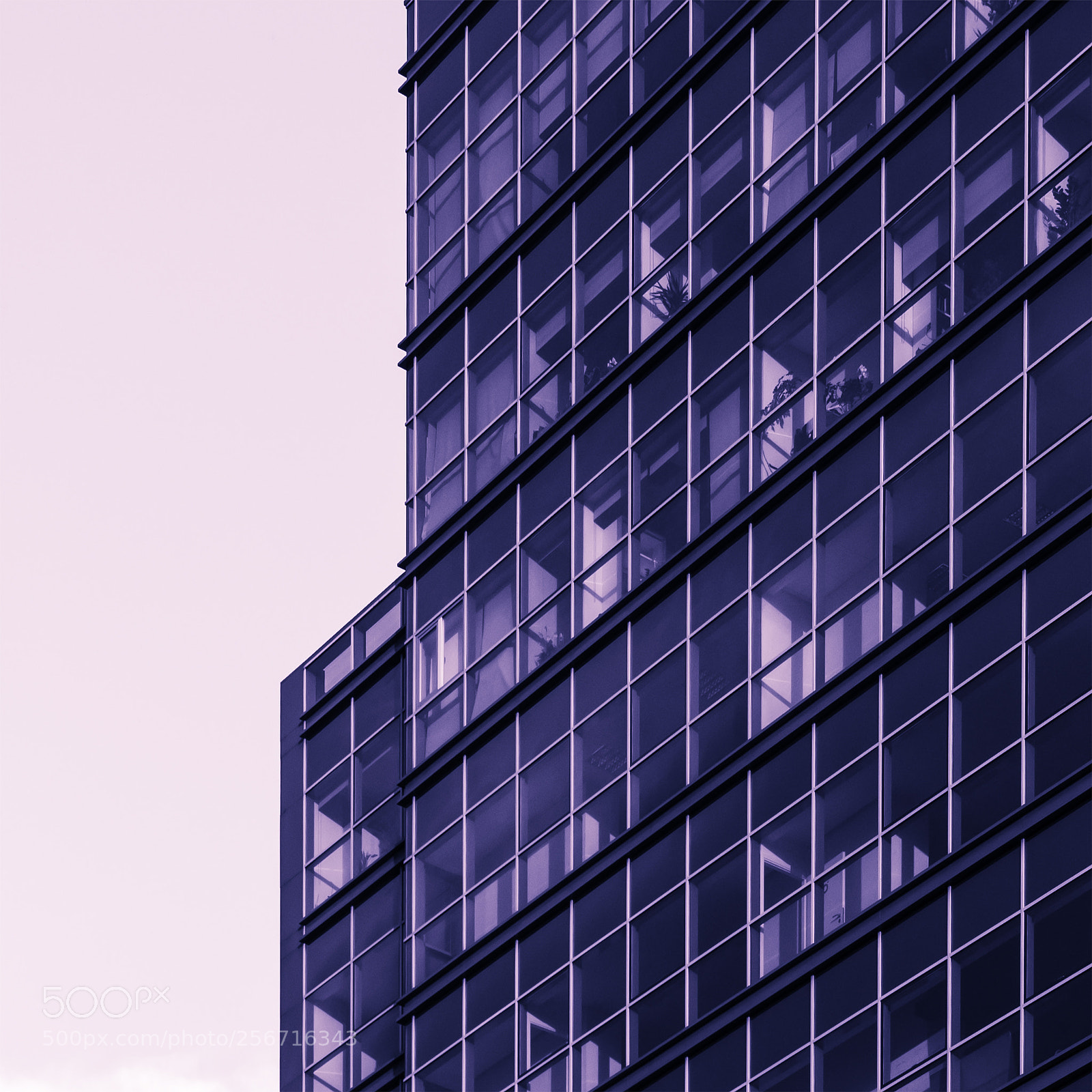 Nikon D7100 sample photo. Urban texture | purple photography