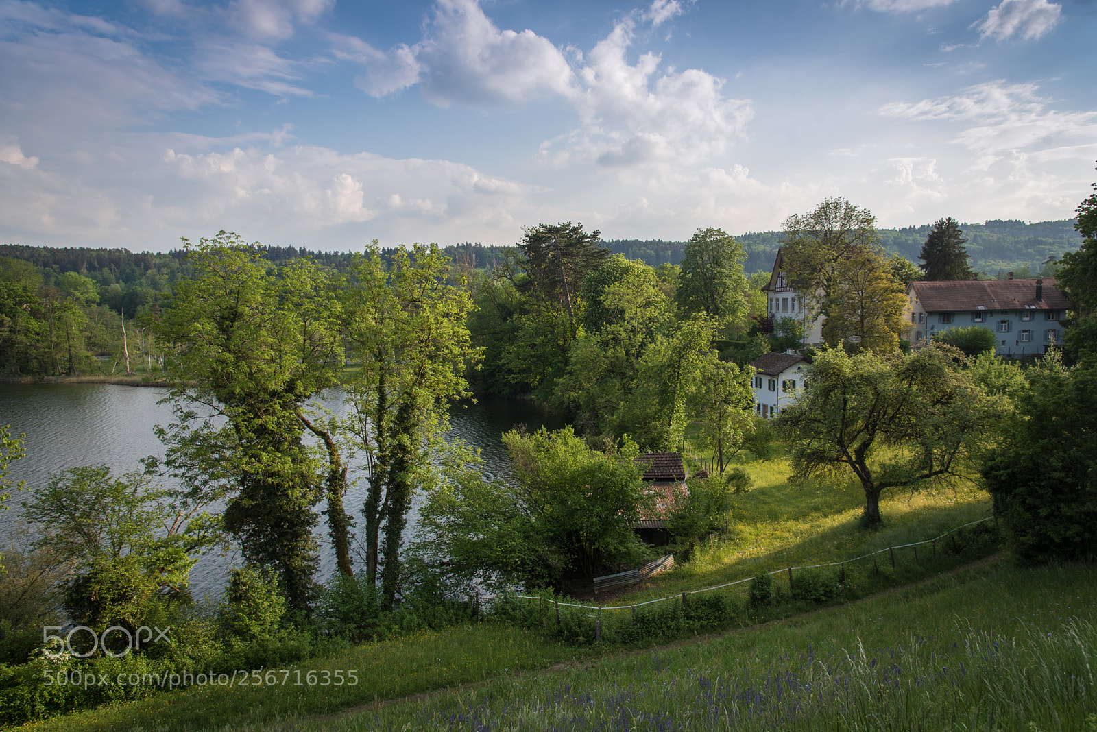 Nikon D750 sample photo. Haus am see photography