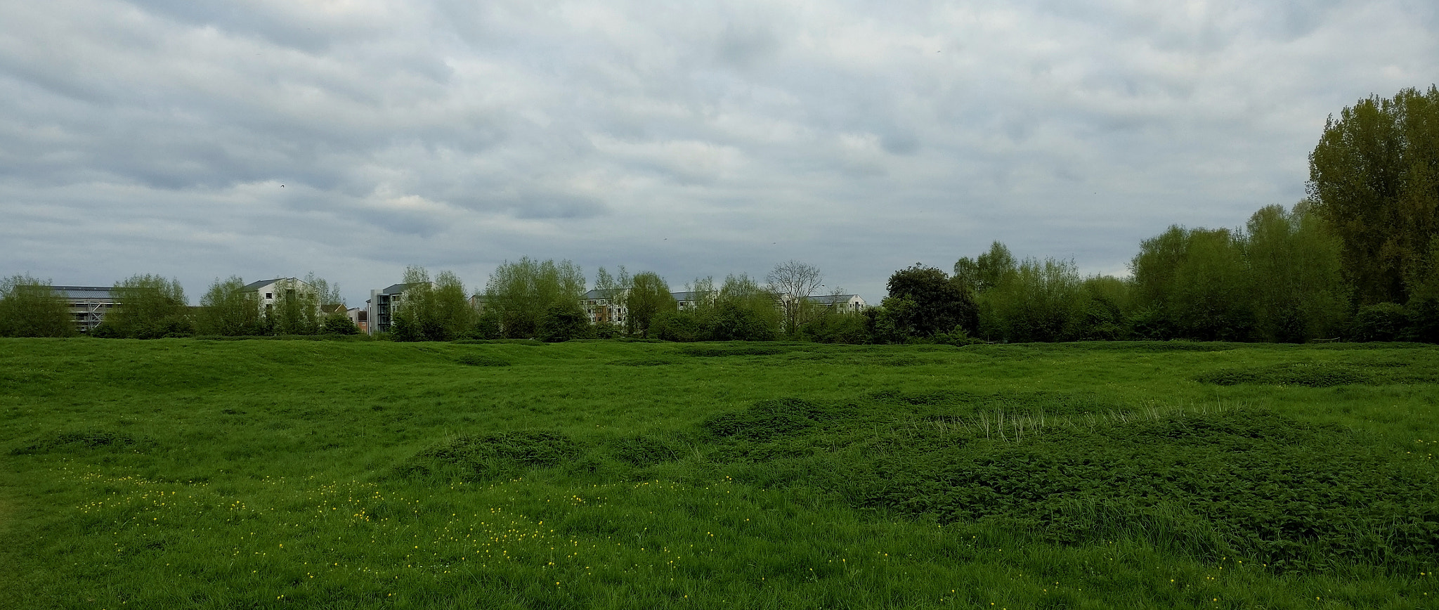 OnePlus A3000 sample photo. Edge of a field photography