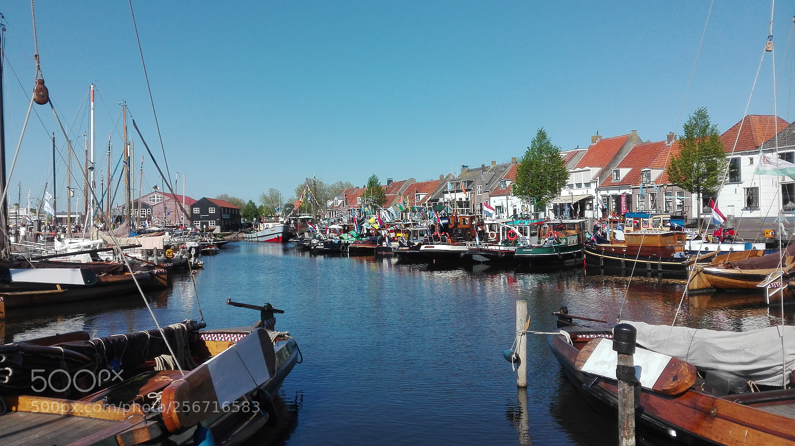 HUAWEI P8 Lite sample photo. Untitled photography