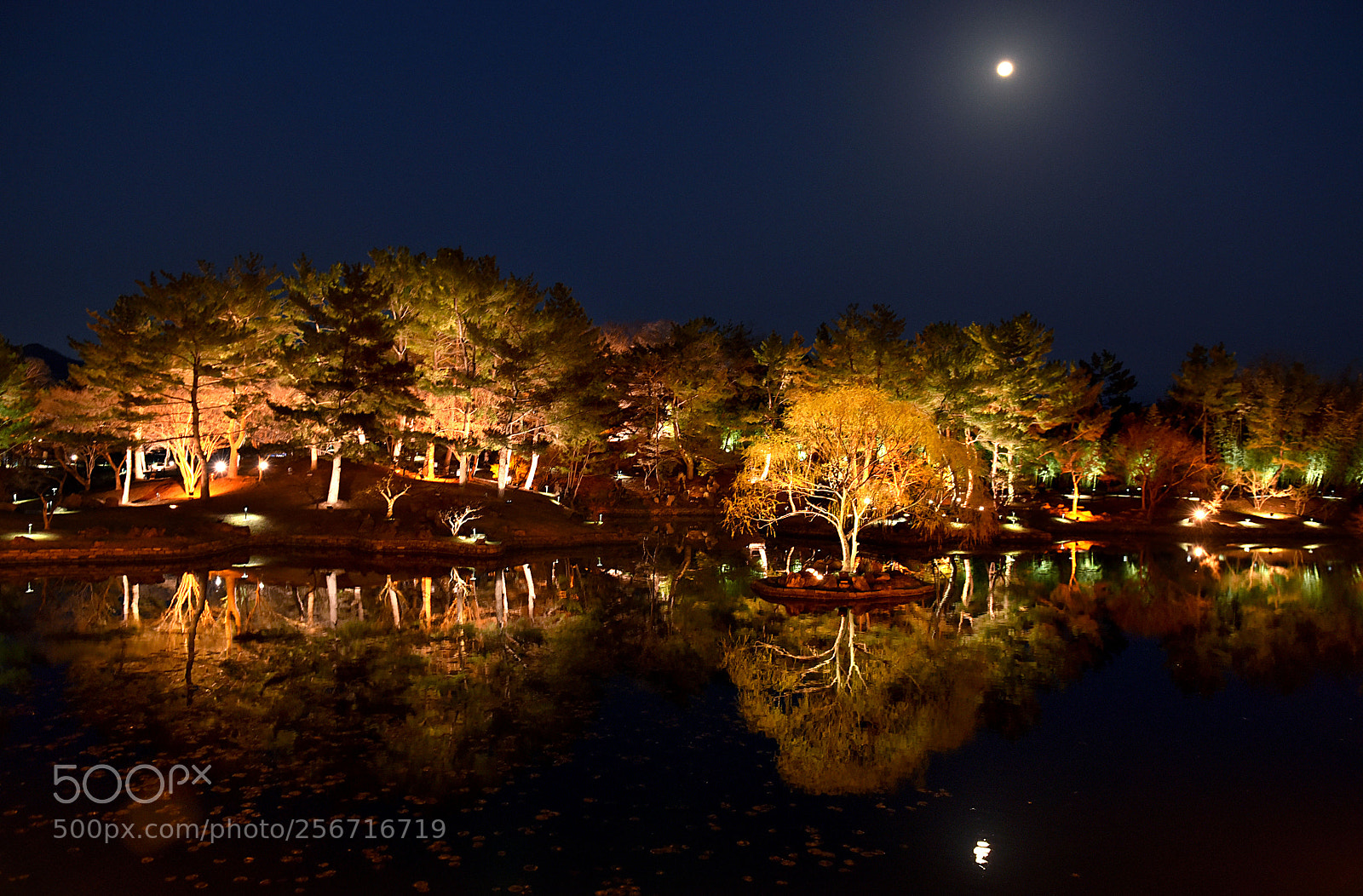 Nikon D750 sample photo. Anapji,korea... photography