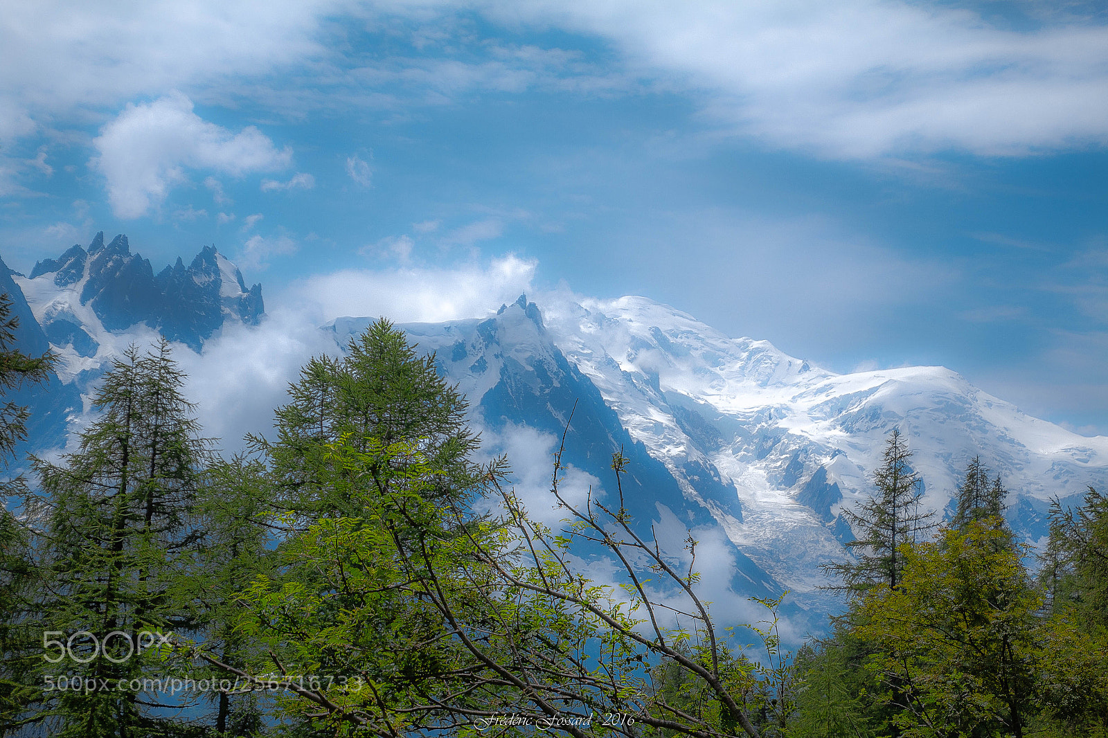 Canon EOS 70D sample photo. Soleil de midi sur photography