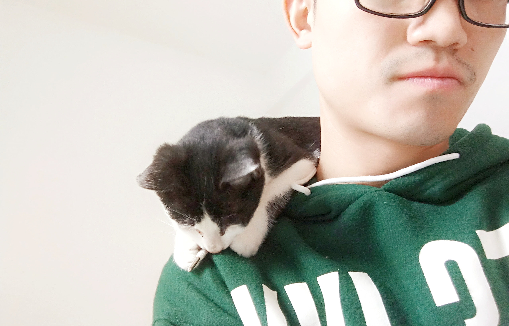 Xiaomi Redmi Note 4X sample photo. Cat photography