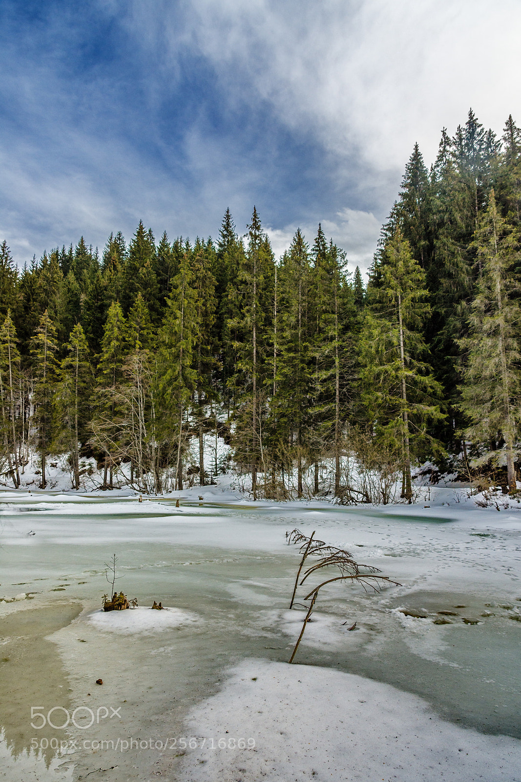 Nikon D7200 sample photo. Deep freeze photography