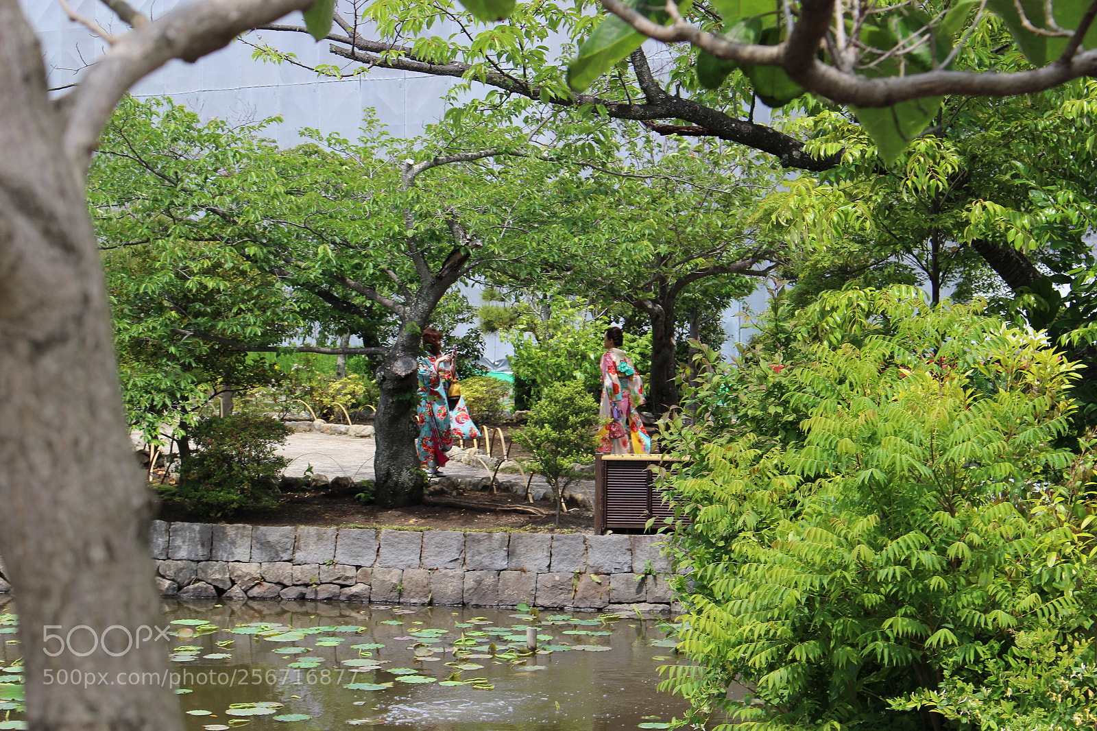 Canon EOS 100D (EOS Rebel SL1 / EOS Kiss X7) sample photo. Img photography