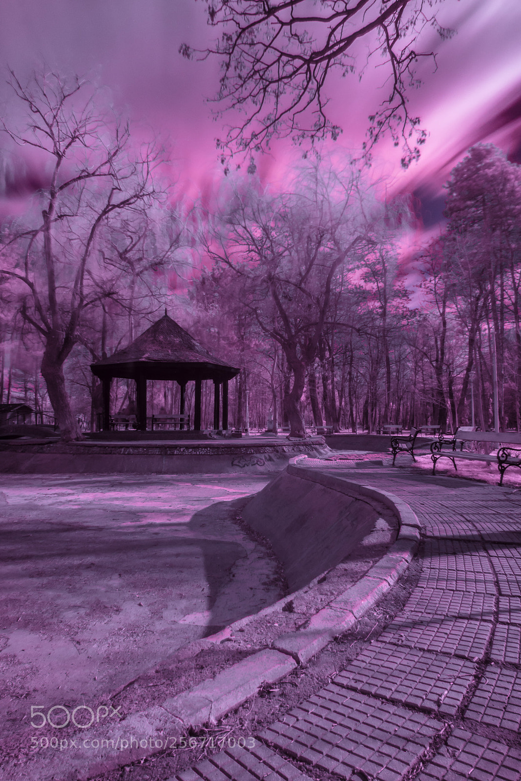 Nikon D7200 sample photo. The park in infrared photography