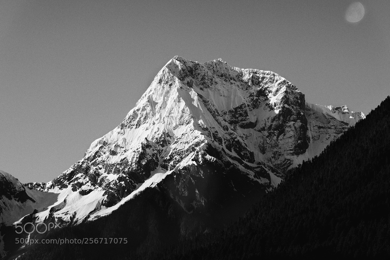 Nikon D810 sample photo. Untitled photography
