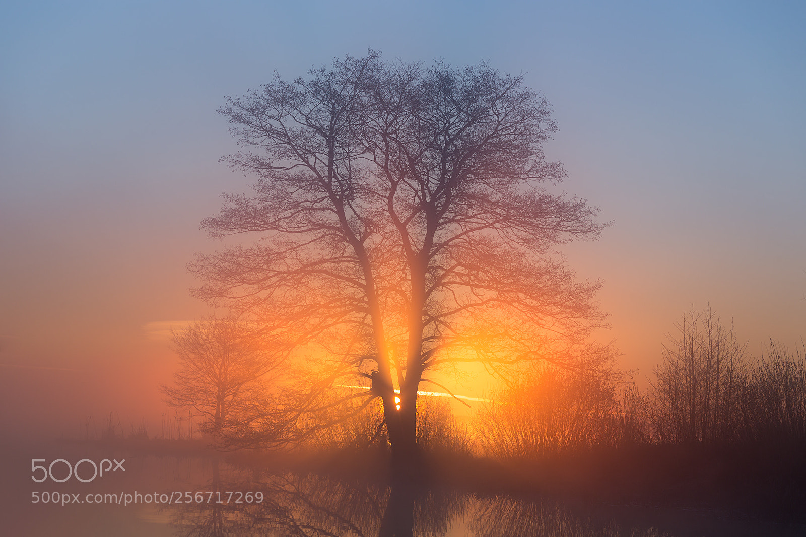 Canon EOS 6D sample photo. Sunrise photography