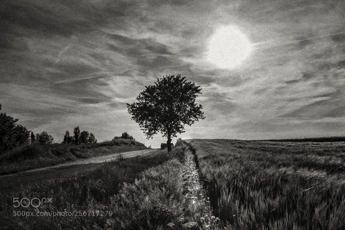 Canon EOS 5D Mark II sample photo. Solitude photography