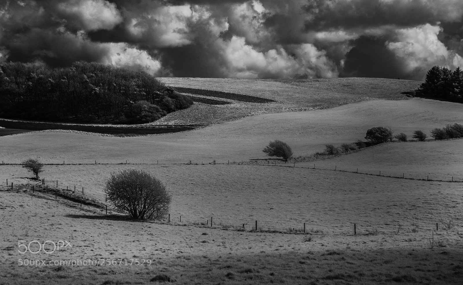 Nikon D7000 sample photo. Landscape at fur (ir) photography