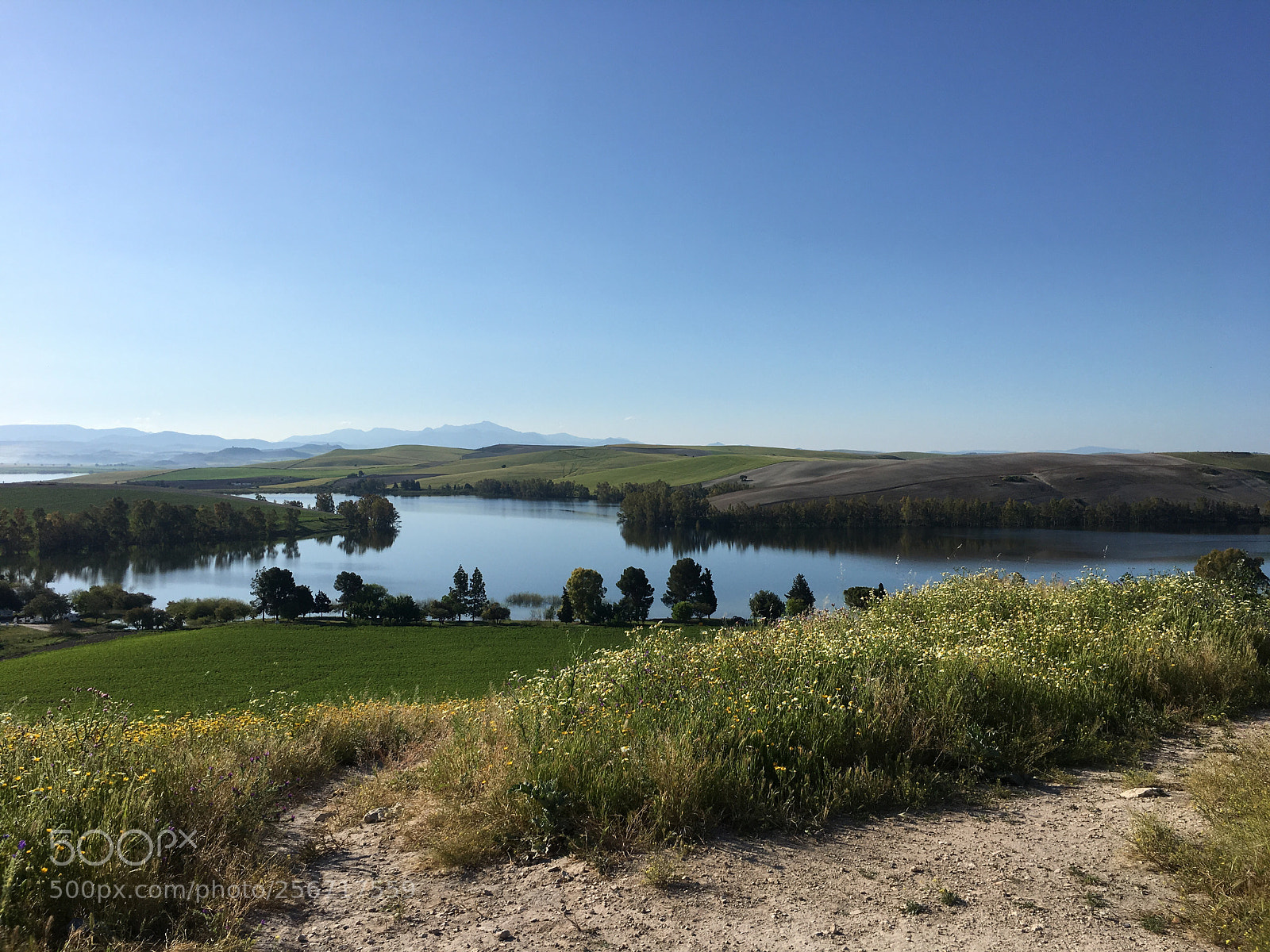 Apple iPhone 6s sample photo. Pantano torre del Águila  photography