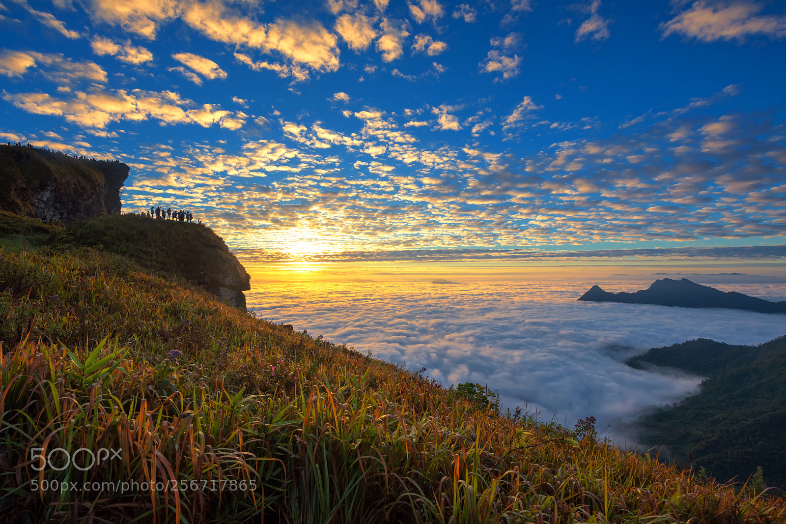 Nikon D810 sample photo. Dream sunrise scenics photography