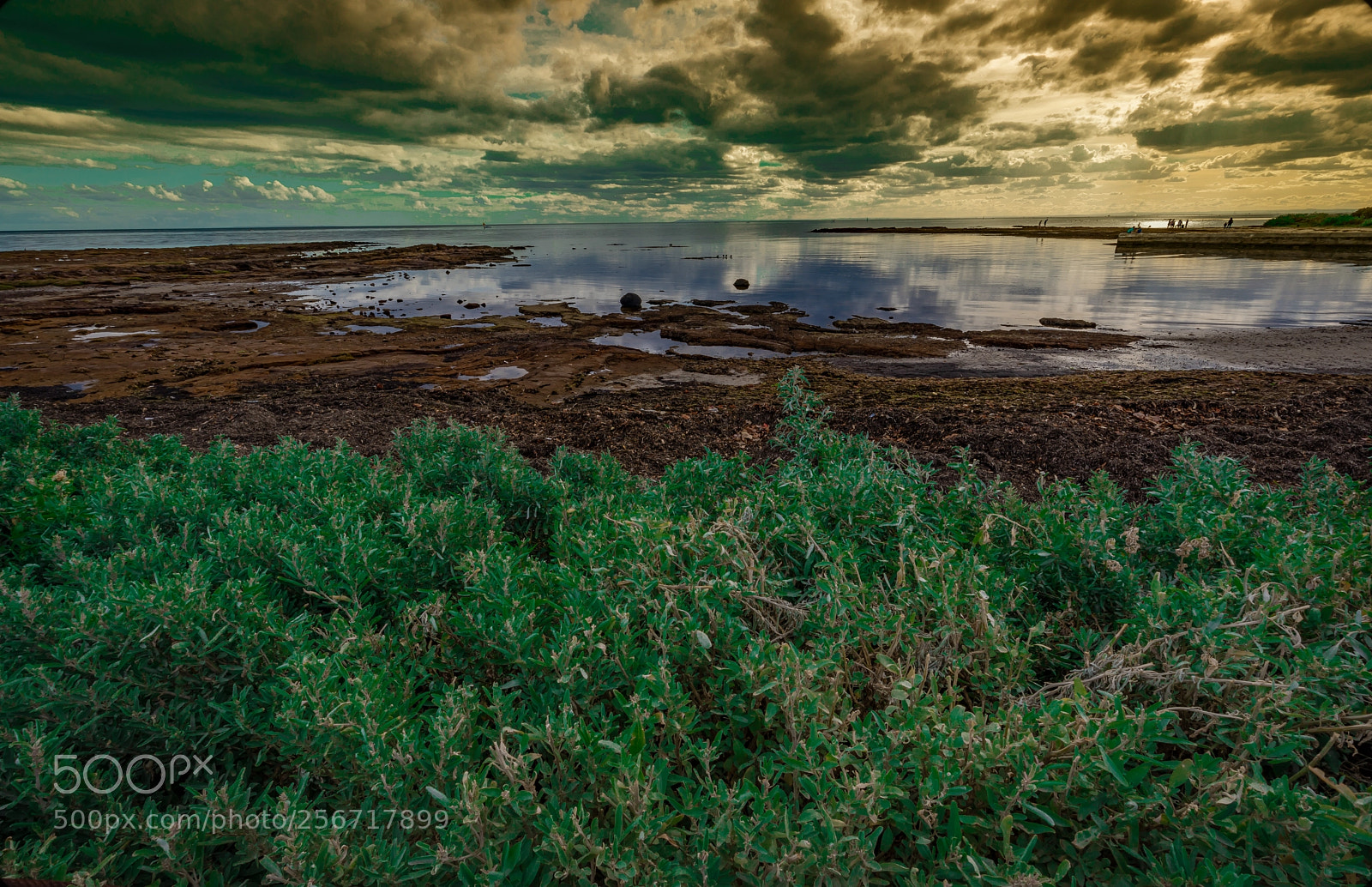 Canon EOS 5D Mark IV sample photo. Ocean meets shore photography