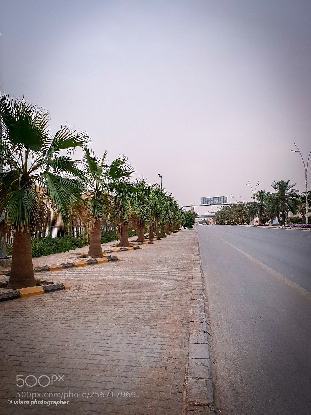 Samsung Galaxy S9+ sample photo. Street palms photography