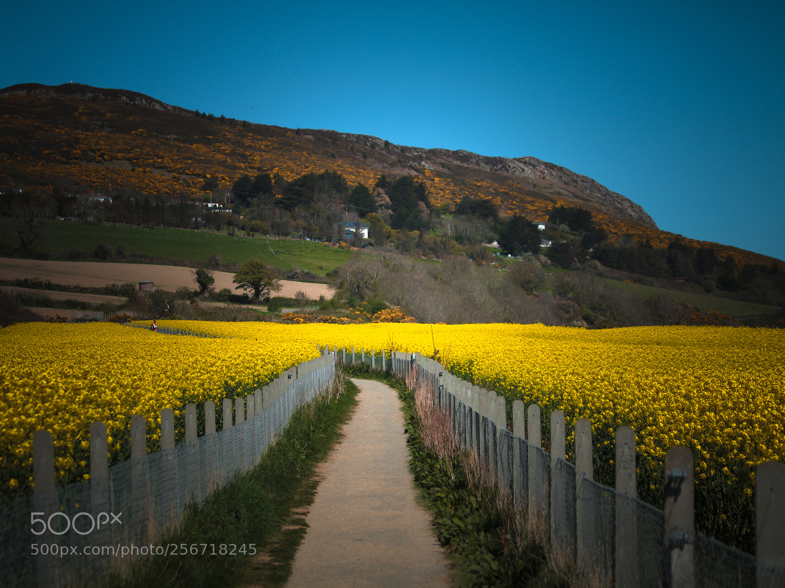 Canon EOS 70D sample photo. Coastwalk between bray and photography
