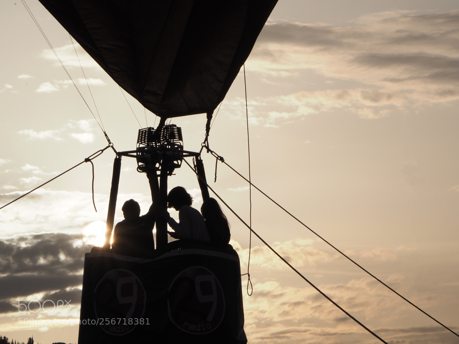 Olympus OM-D E-M1 Mark II sample photo. Roseto ti fa volare photography