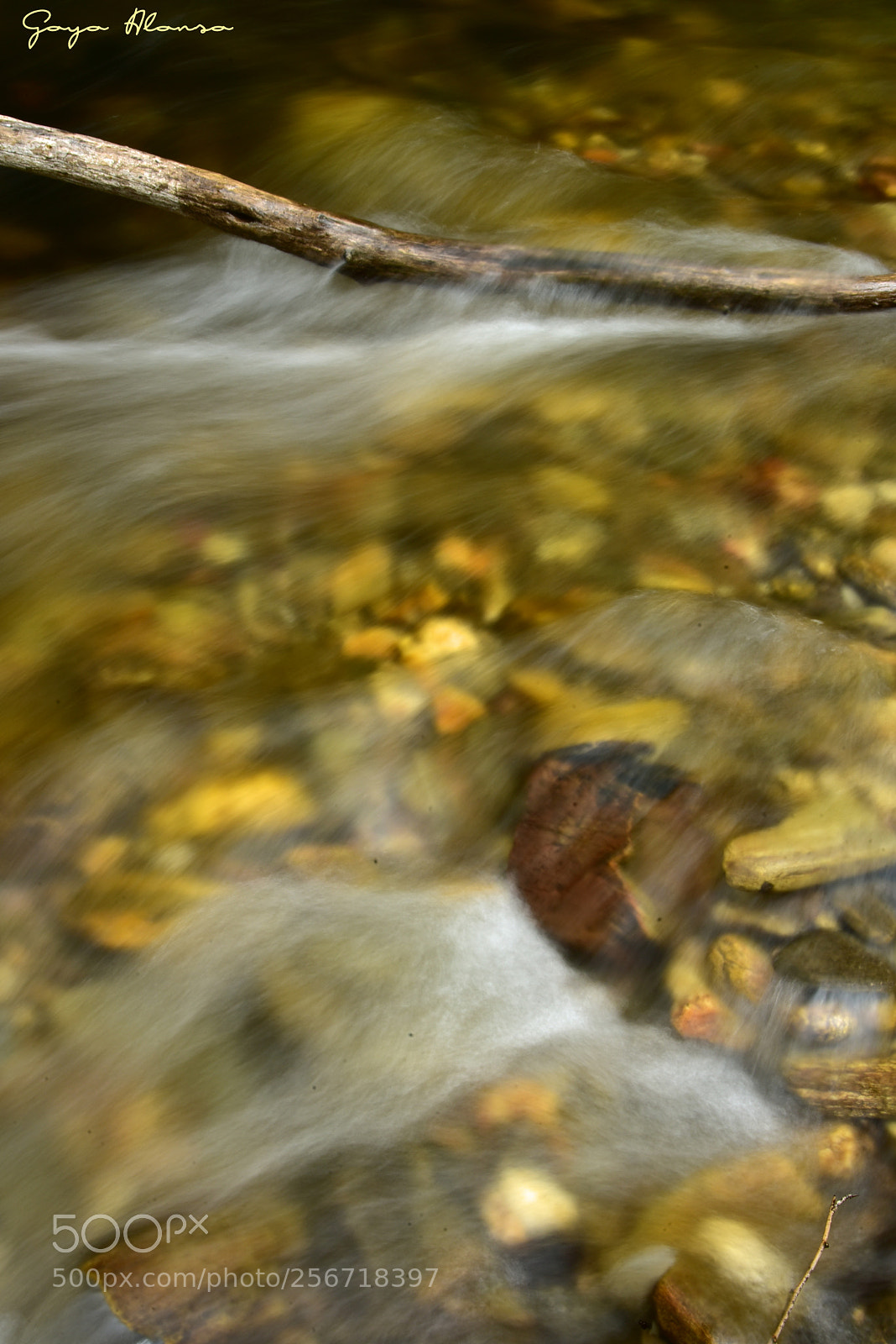 Nikon D750 sample photo. Agua viva photography