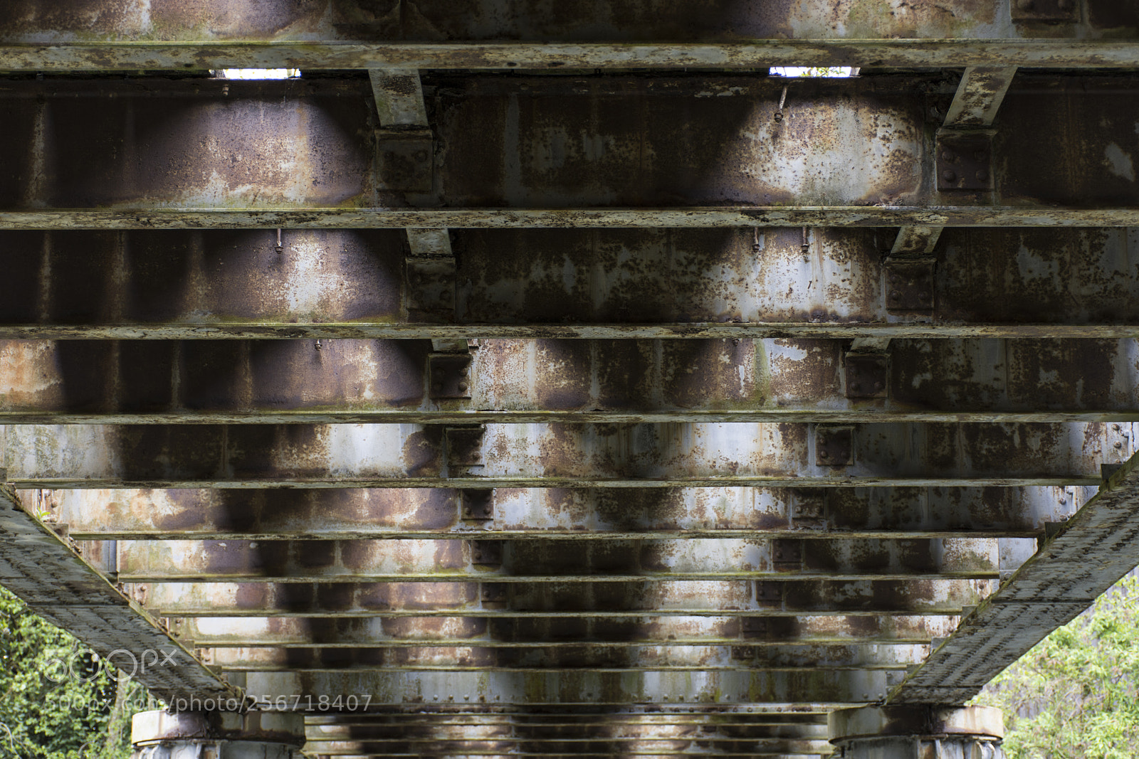 Nikon D7200 sample photo. Bridge photography