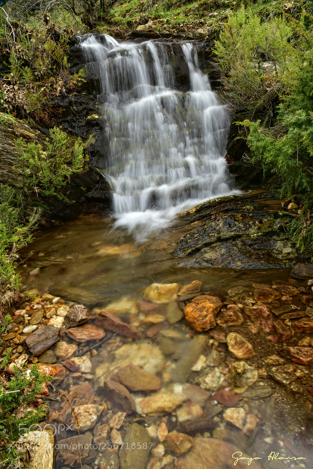 Nikon D750 sample photo. Agua viva photography