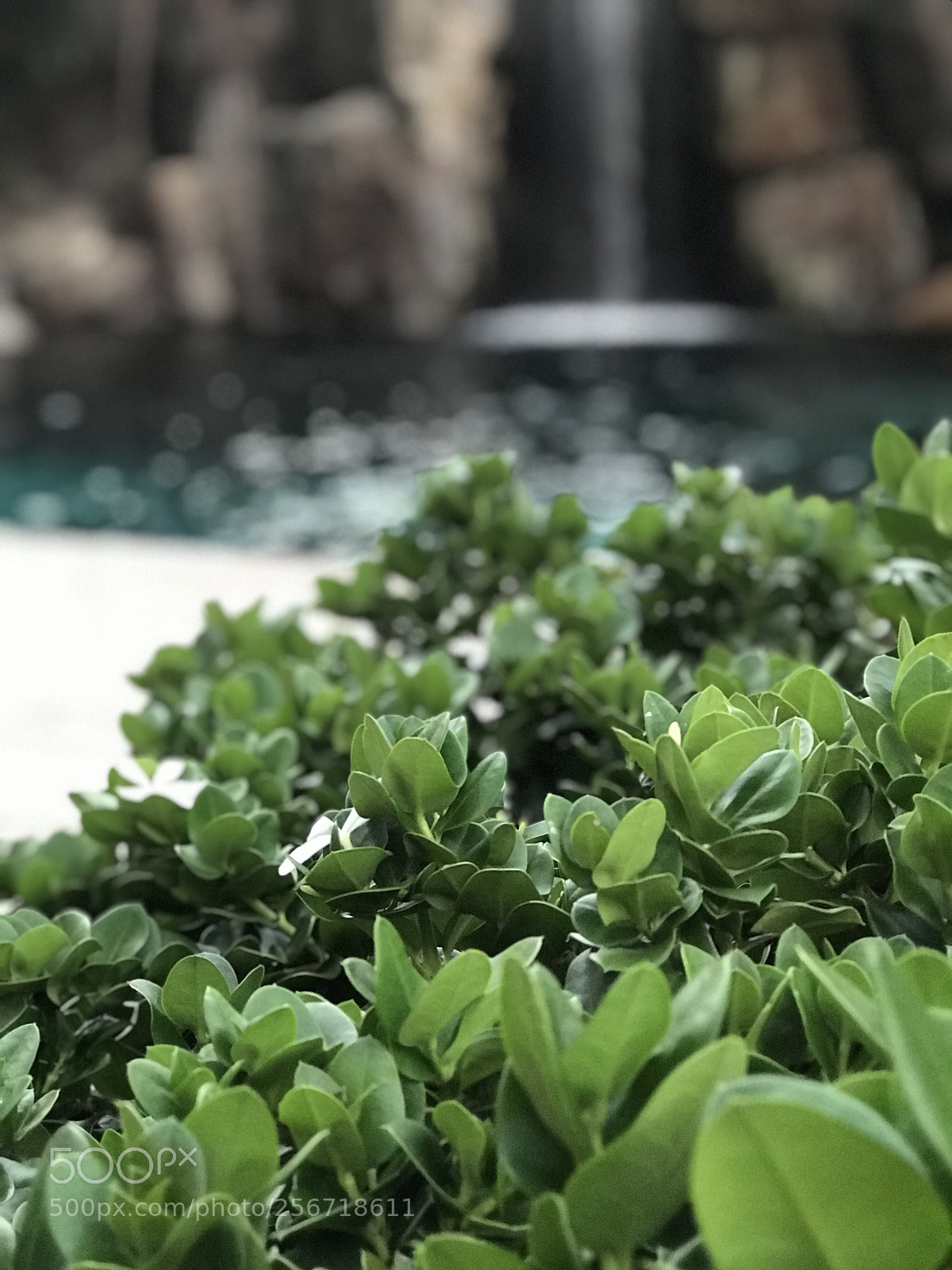 Apple iPhone 7 Plus sample photo. Water fall? photography