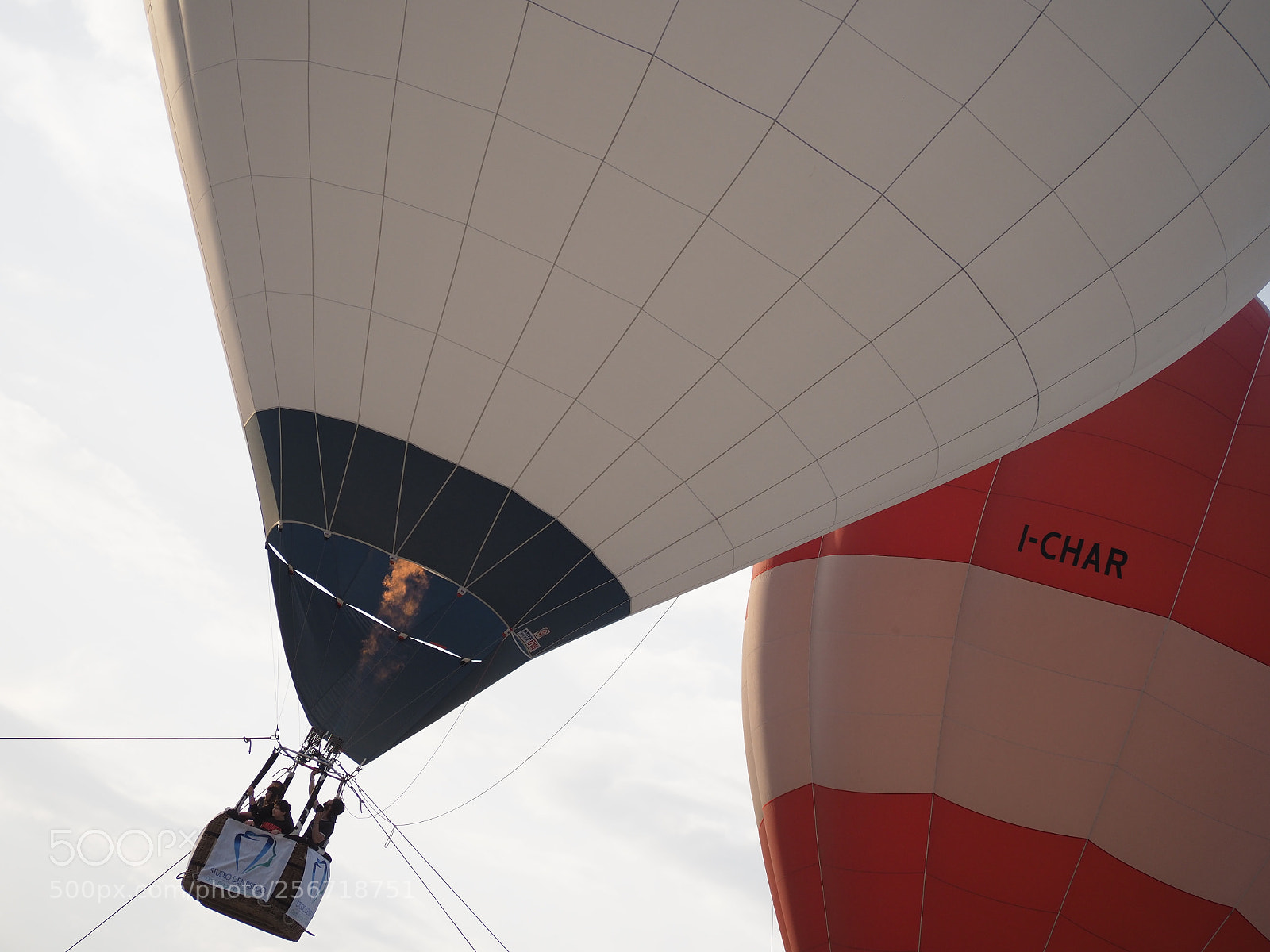 Olympus OM-D E-M1 Mark II sample photo. Roseto ti fa volare photography