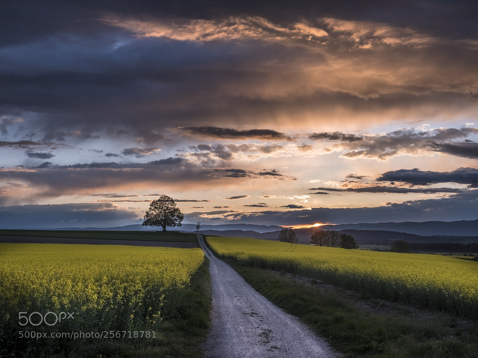 Panasonic Lumix DC-G9 sample photo. Afterglow above rural landscape photography