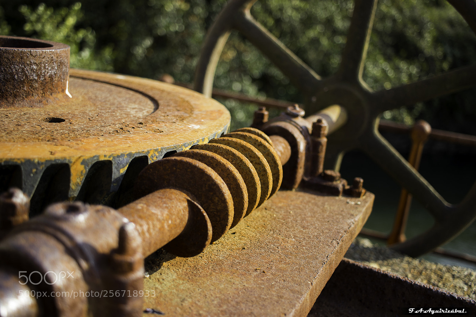 Canon EOS 77D (EOS 9000D / EOS 770D) sample photo. Firmado photography
