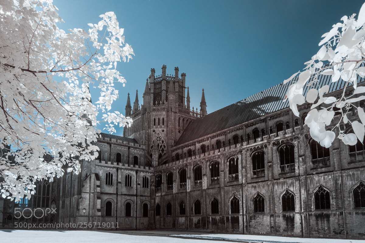 Sony a7 sample photo. Sunday morning ir photography