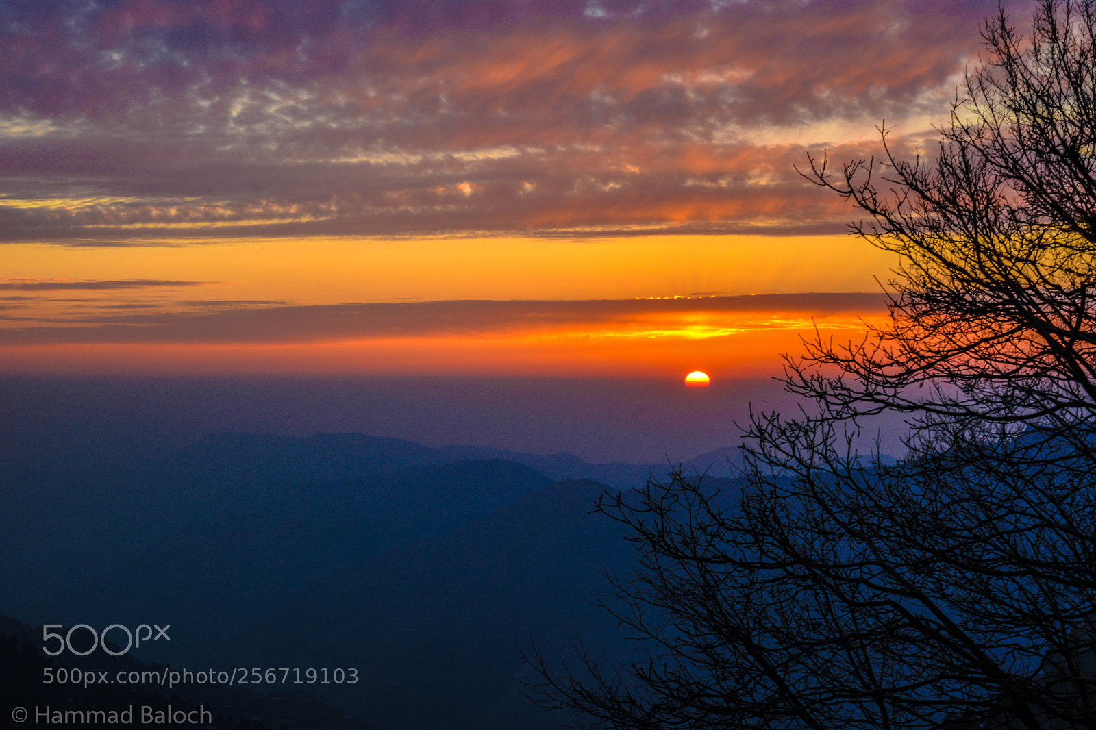 Nikon D5200 sample photo. 038.jpg photography