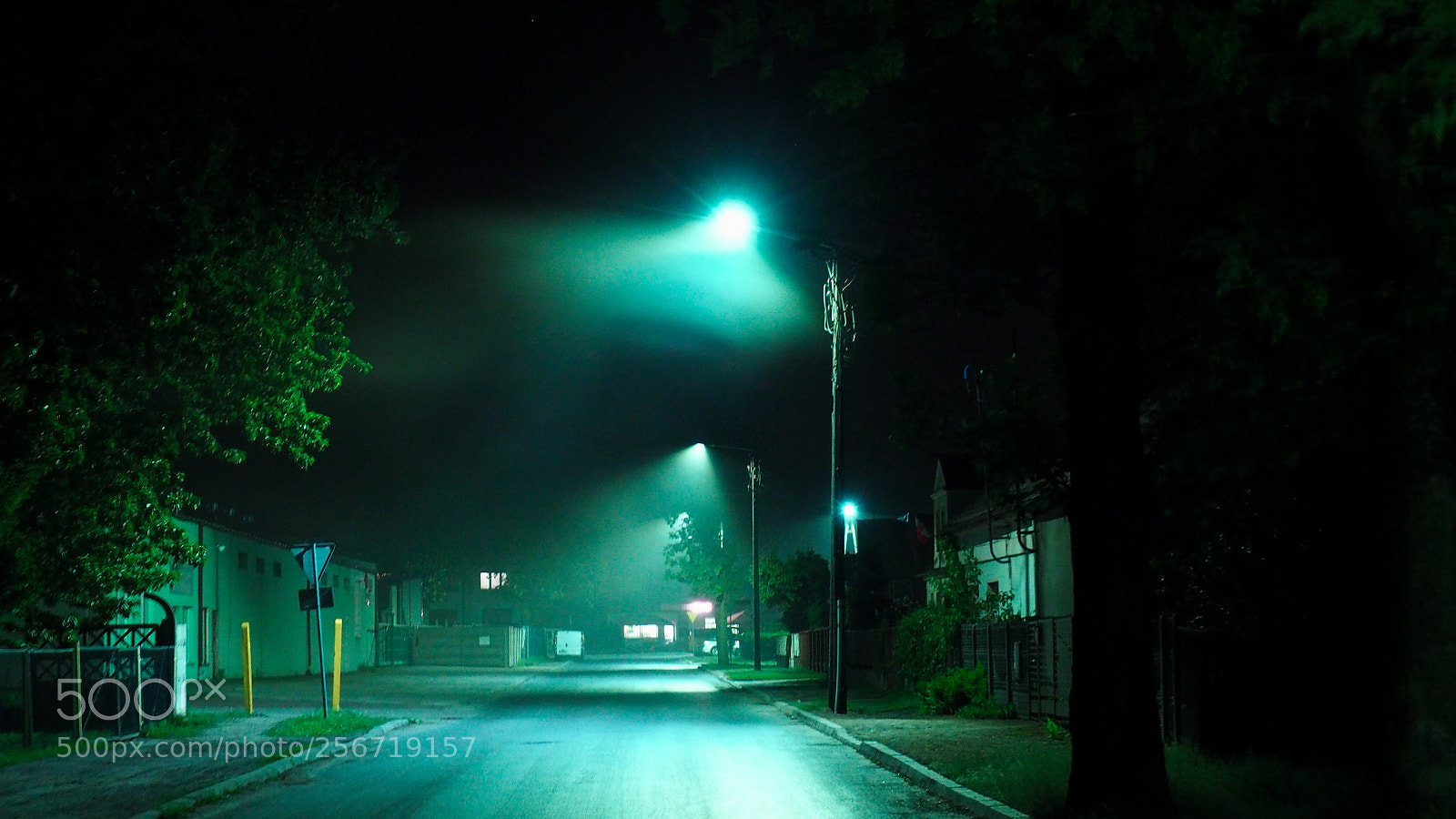 Olympus OM-D E-M10 II sample photo. Foggy road photography