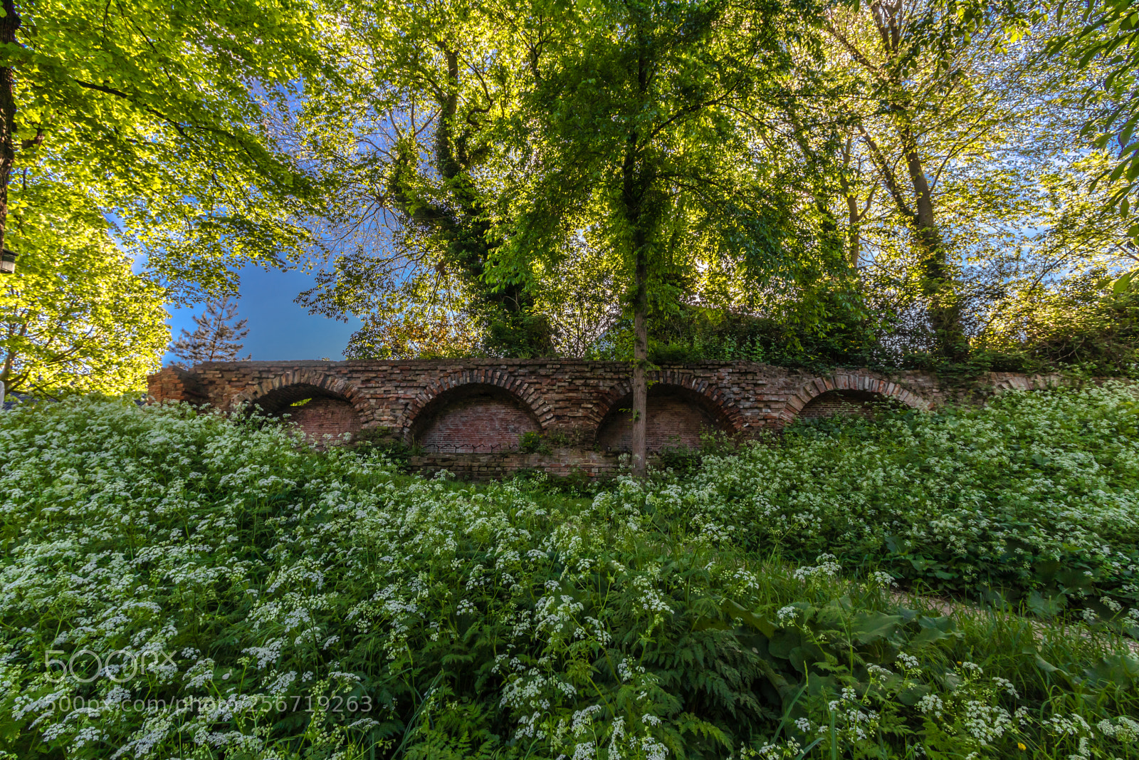 Canon EOS 80D sample photo. Old city wall of photography