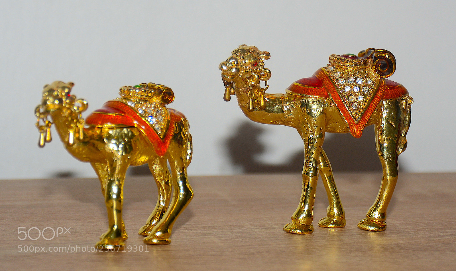 Nikon D7100 sample photo. Dsc photography