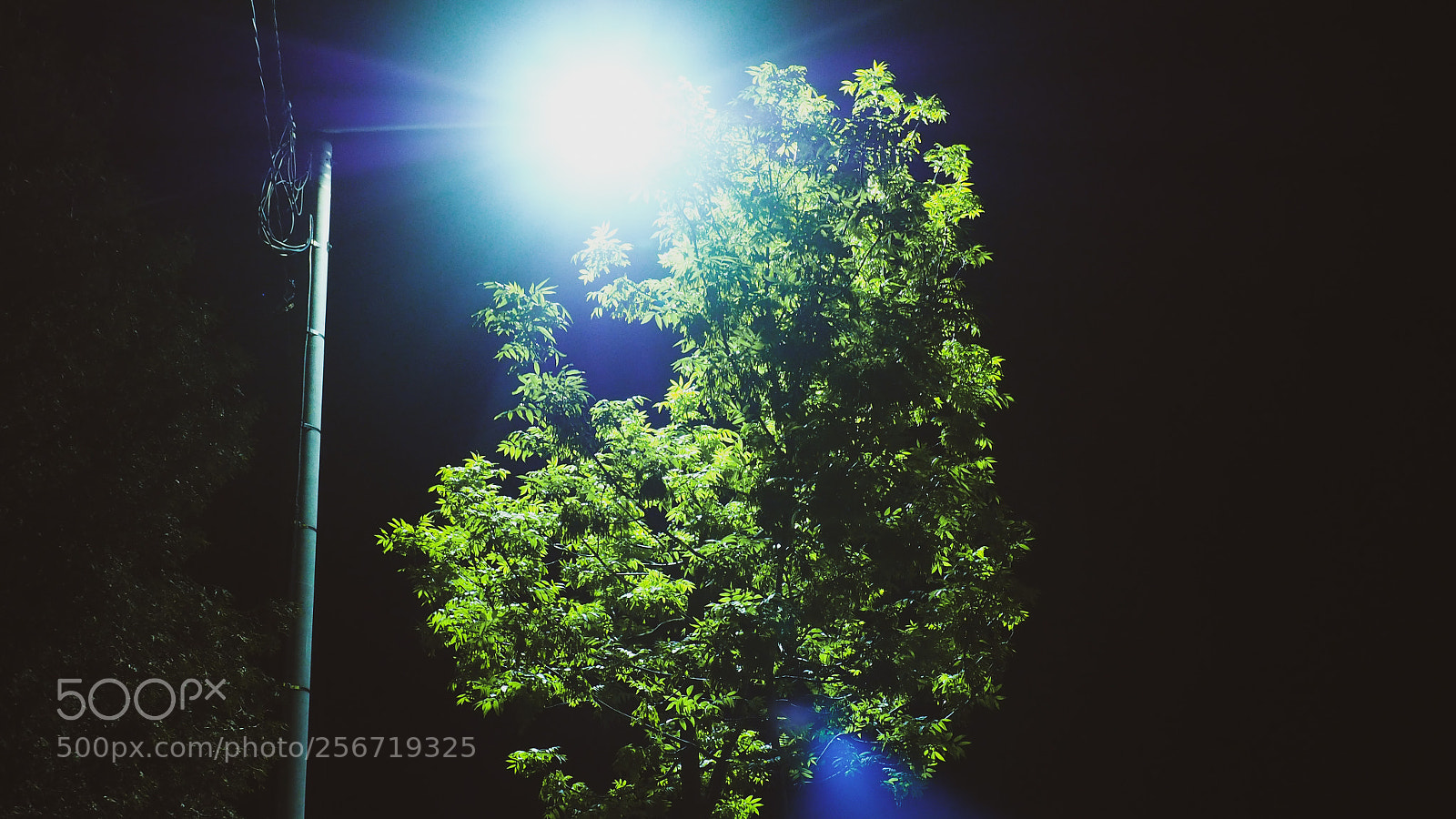 Olympus OM-D E-M10 II sample photo. Sun of the night photography