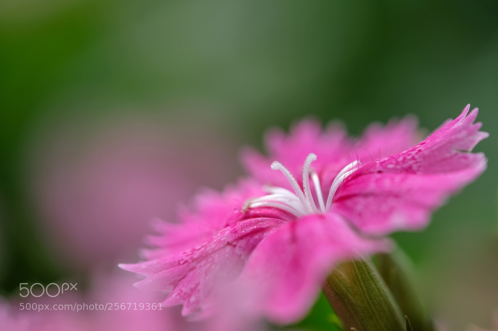 Fujifilm X-H1 sample photo. Untitled photography