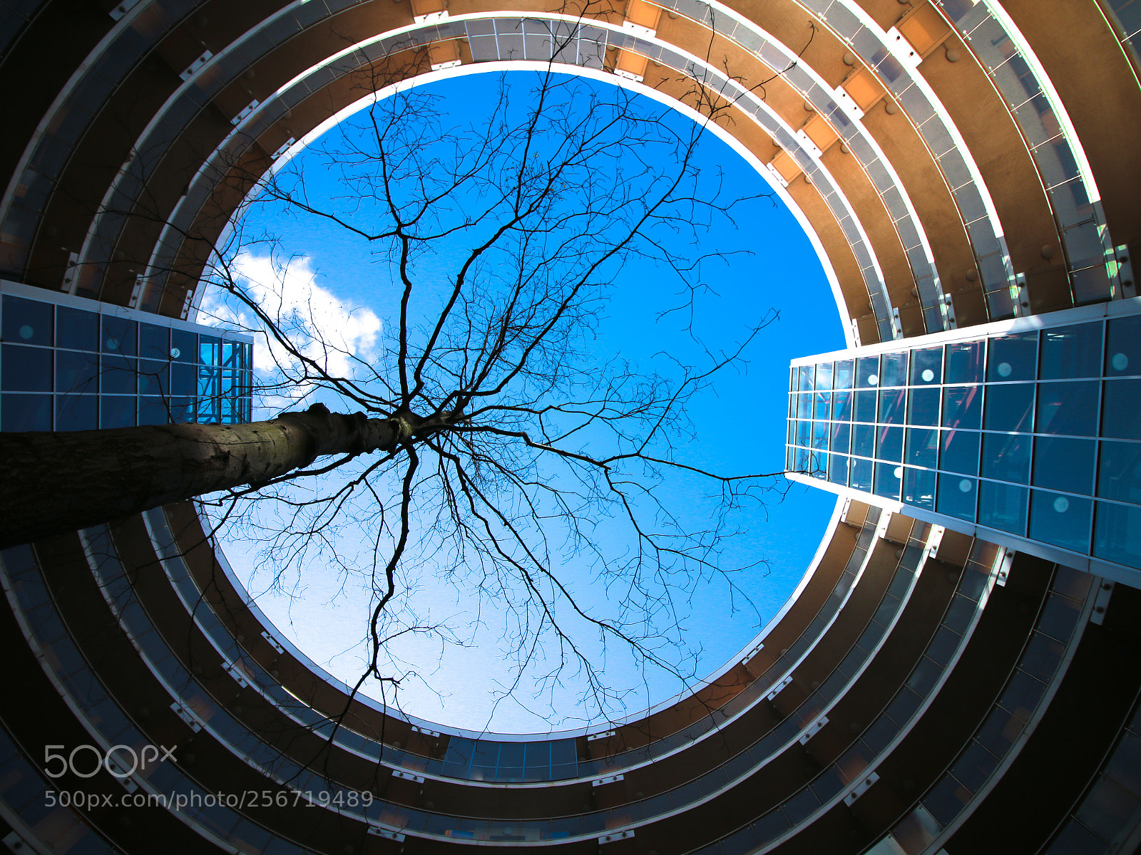 Canon EOS 70D sample photo. The alliancebuilding in the photography