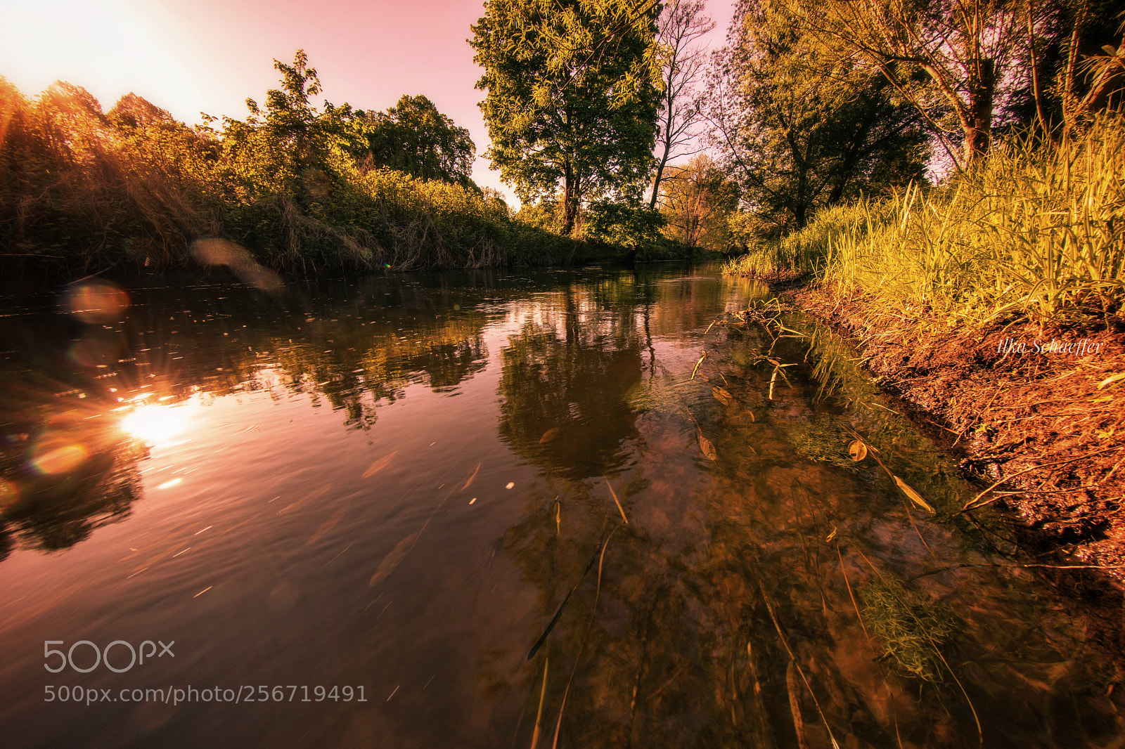 Canon EOS 5D Mark IV sample photo. Die jäglitz photography