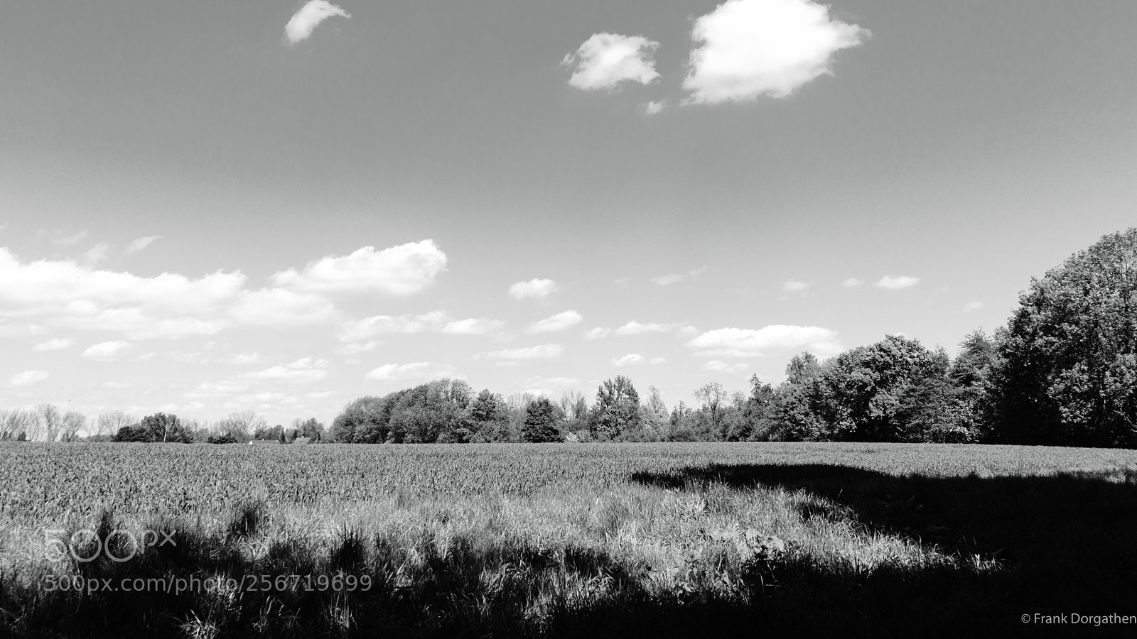 Sony a6000 sample photo. Hexbachtal photography