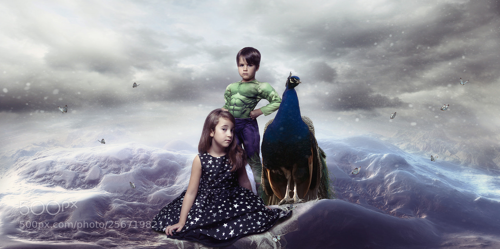 Canon EOS 5D sample photo. At the top photography