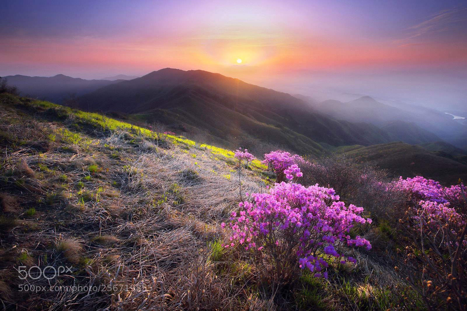 Canon EOS 6D sample photo. Mt sobaek 小白山 photography