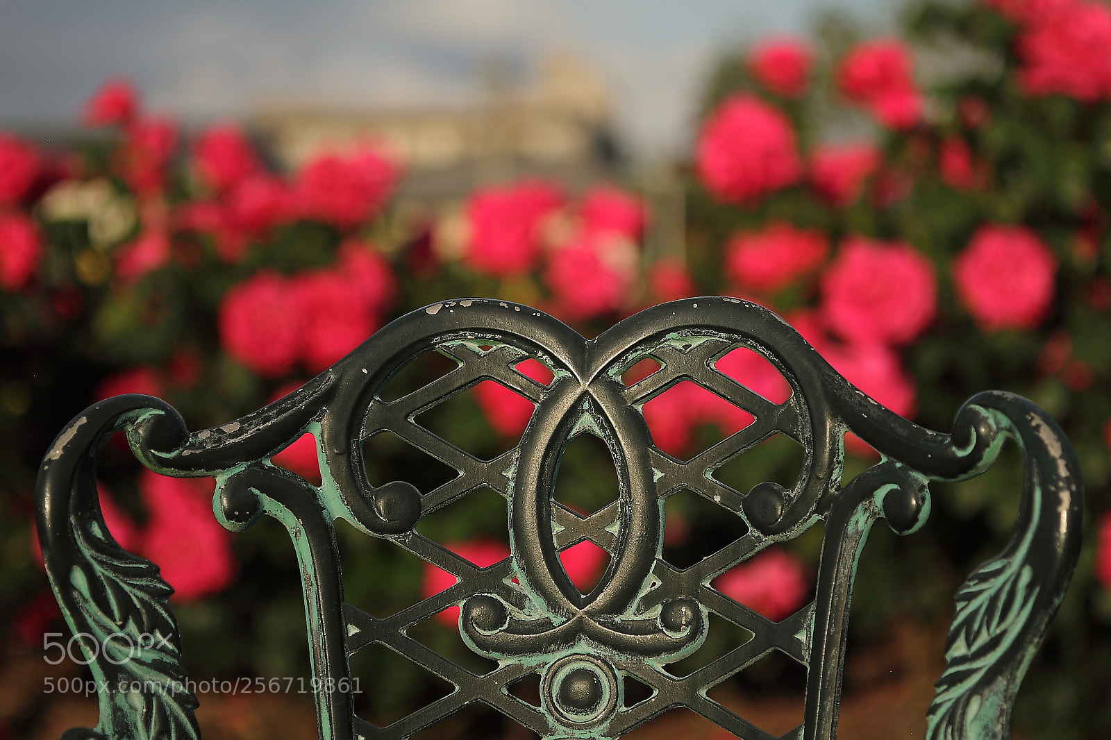 Canon EOS 7D + Canon EF 50mm F1.8 II sample photo. Even in the years photography