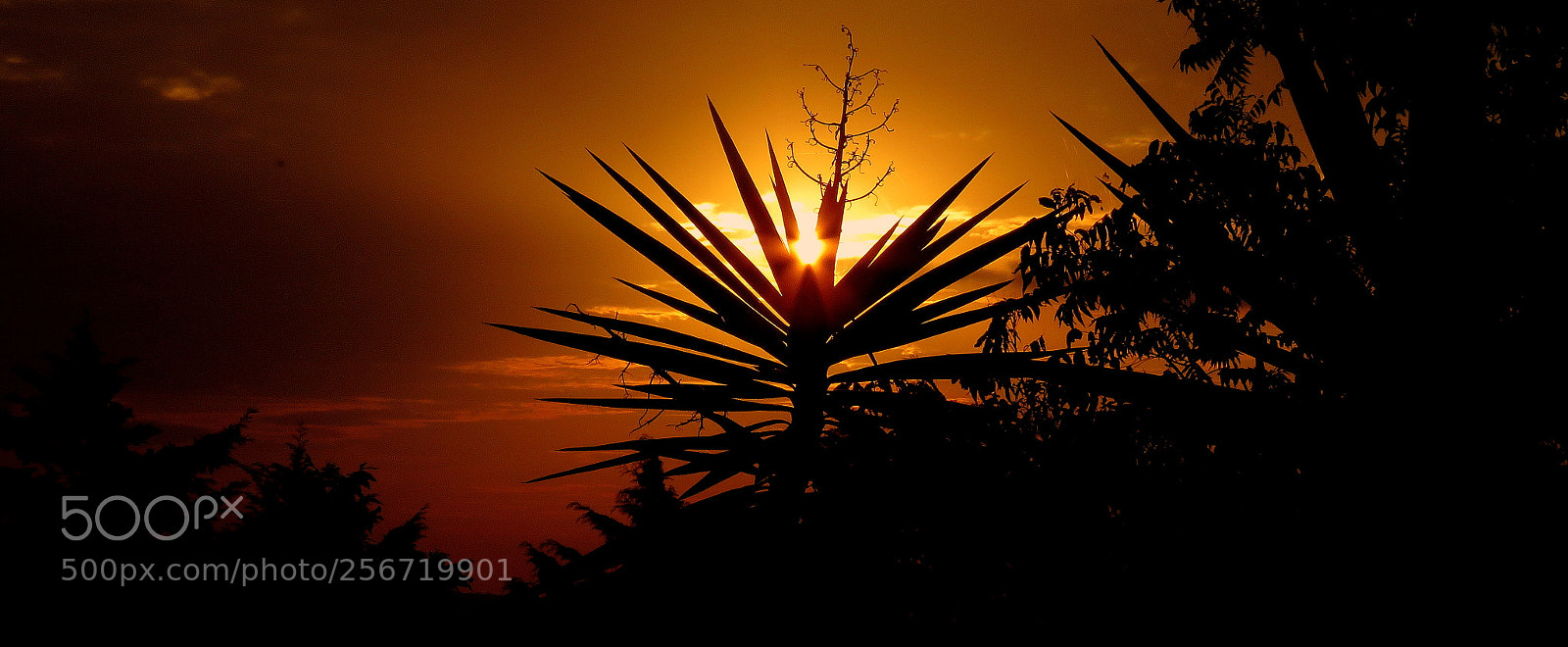 Canon PowerShot SX60 HS sample photo. Sunset .... photography