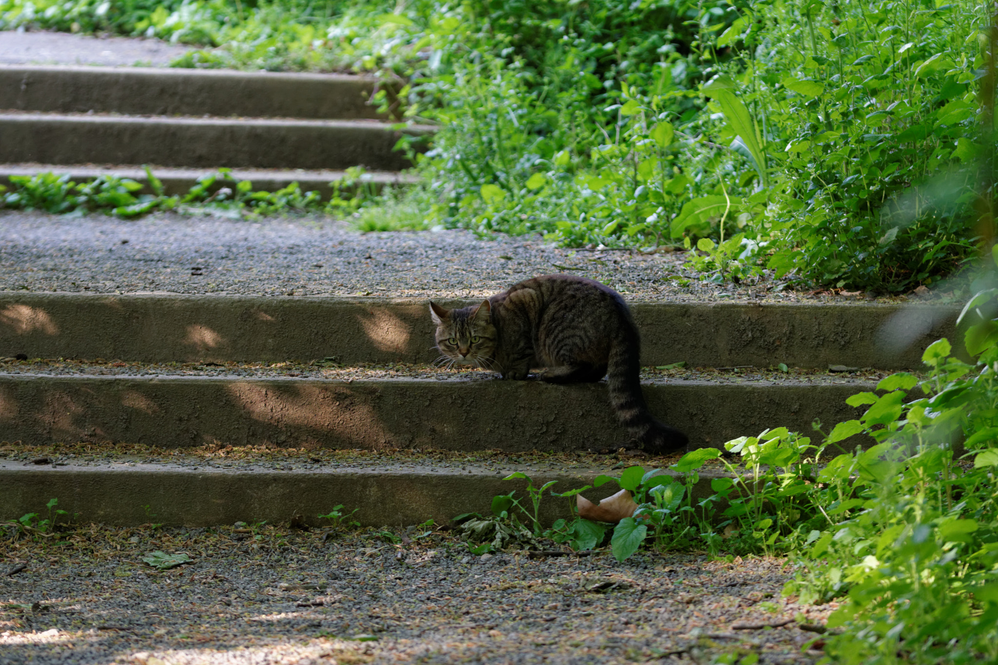 Sigma 105mm F2.8 EX DG OS HSM sample photo. Too close human! photography