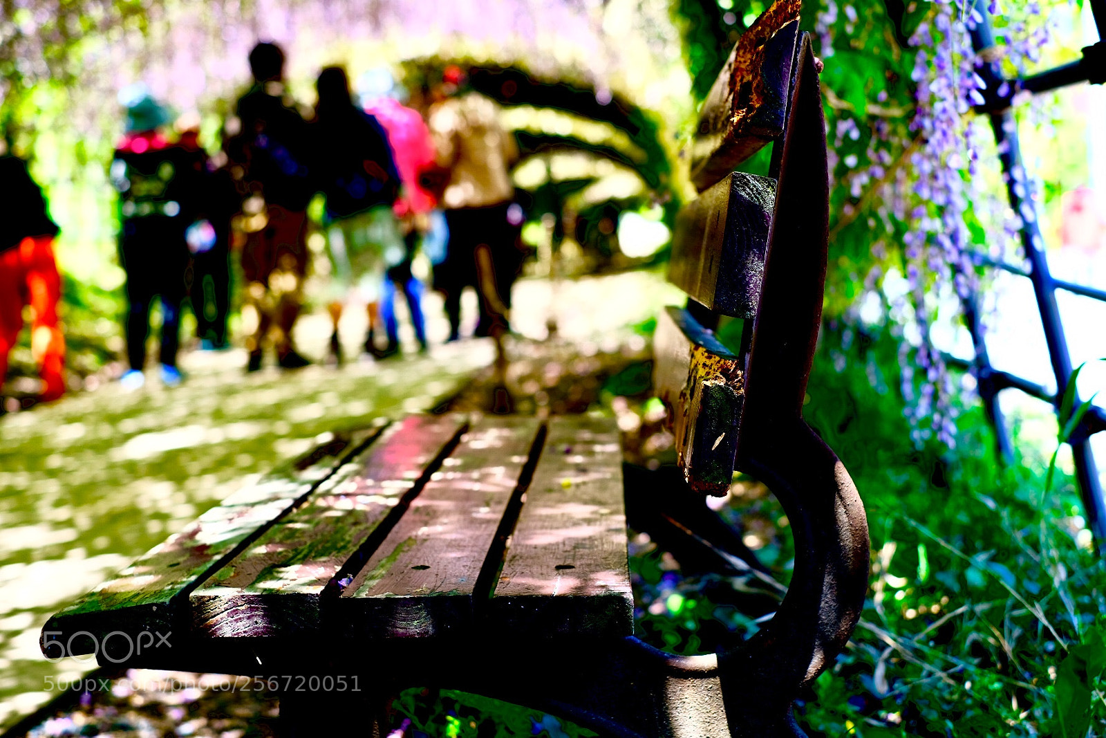 Fujifilm X-T20 sample photo. Untitled photography