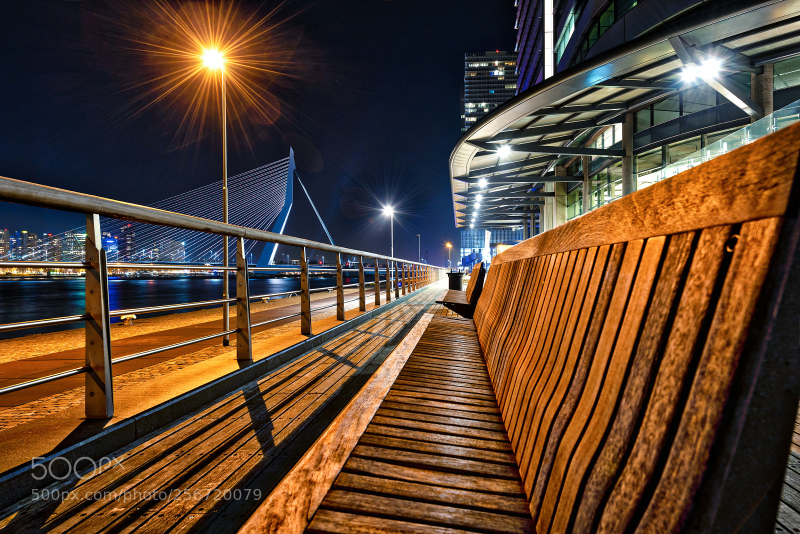 Nikon D810 sample photo. Rotterdam by 1 shot ! photography