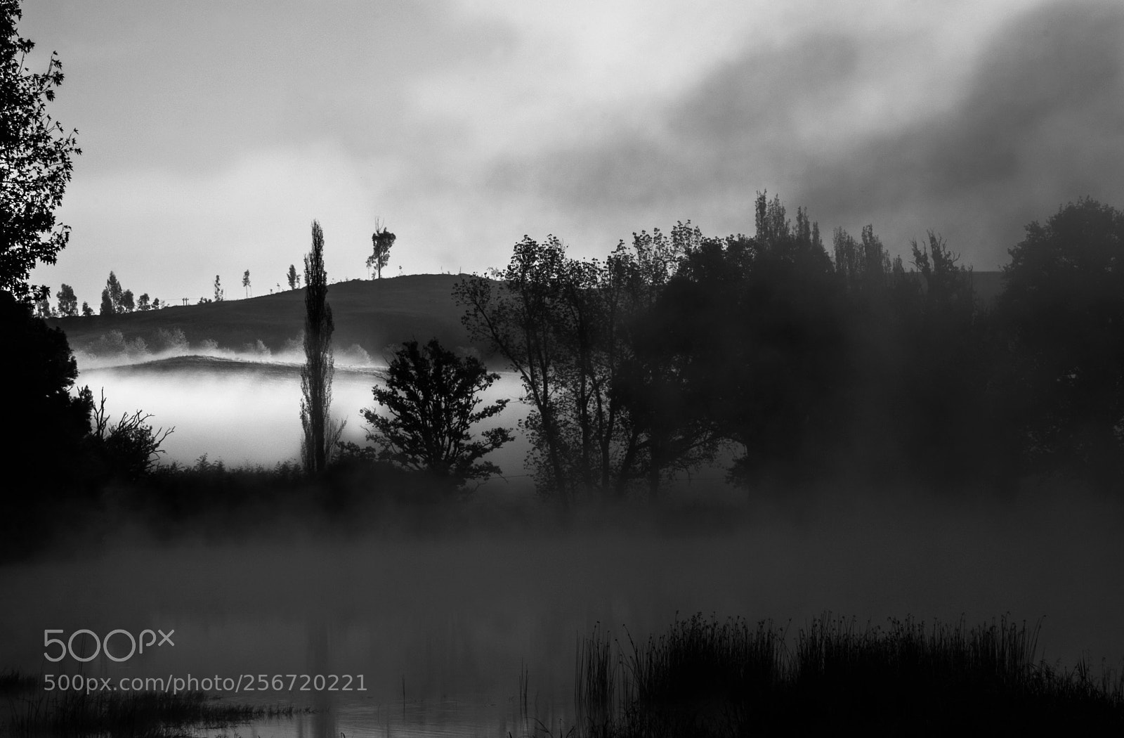 Canon EOS 7D Mark II sample photo. Kenmo mono photography